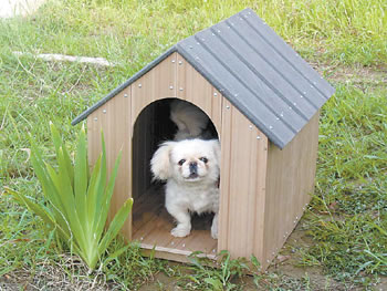 1550862154930777.jpg 111.jpg