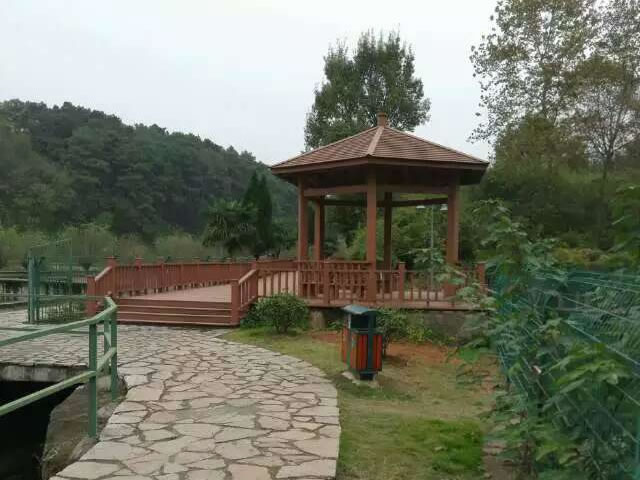 1550895920971184.jpg 111.jpg